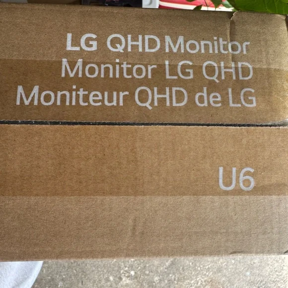 LG QHD Monitor - Brown Box